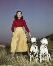 Ann Blyth striking pose walking two dalmation dogs 1940&#39;s era 24x30 inch poster - £23.58 GBP