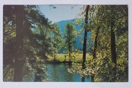 Postcard St Joe&#39;s River Spokane Washington State Expo 1974 - $4.79