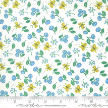 Moda COTTAGE BLEU Cream 48693 11 Quilt Fabric By The Yard - Robin Pickens - £8.92 GBP