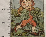 Farmer With Cabbage Colorful Victorian Trade Card VTC 6 - $10.88