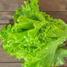 USA Seller Tango Lettuce Garden Seeds Vegetable Seeds Heat &amp; Frost Resistant Lac - $16.70