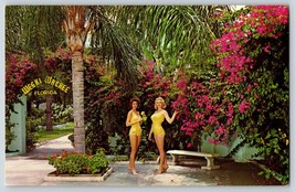 Postcard The Flowery Patio At  Weeki Wachee Florida FL - £3.92 GBP