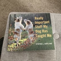 Really Important Stuff My Dog Has Taught Me: Less Bark, More Wag - £3.71 GBP