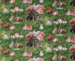 Cotton Bunnies Bunny Rabbits Farm Animals Green Fabric Print by the Yard... - $11.95