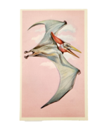 1975 PTERANODON Dinosaur Card Vintage Prehistoric Illustration Ephemera ... - $454.76 MXN