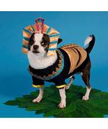 Puppe Love King MUTT Dog Costumes King TUT Egyptian Royalty Pharaoh Dogs... - £43.95 GBP