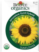 GUNEL Sunflower Jer-lem Gold Hybrid Organic Flower Seeds Burpee  - £6.72 GBP