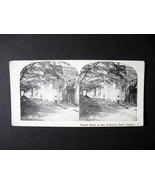 Vintage Stereoview Card Reprint - Fourth Street at San Francisco Park in... - £7.82 GBP