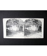 Vintage Stereoview Card Reprint - Fourth Street at San Francisco Park in... - $9.99