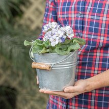 Robert Allen Llc MPT01626 Robert Allen Planter with Handle, Banded Metal... - $31.43 CAD