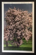 Apple Blossom Time in the White Mountains New Hampshire PC 130L Linen - £7.99 GBP