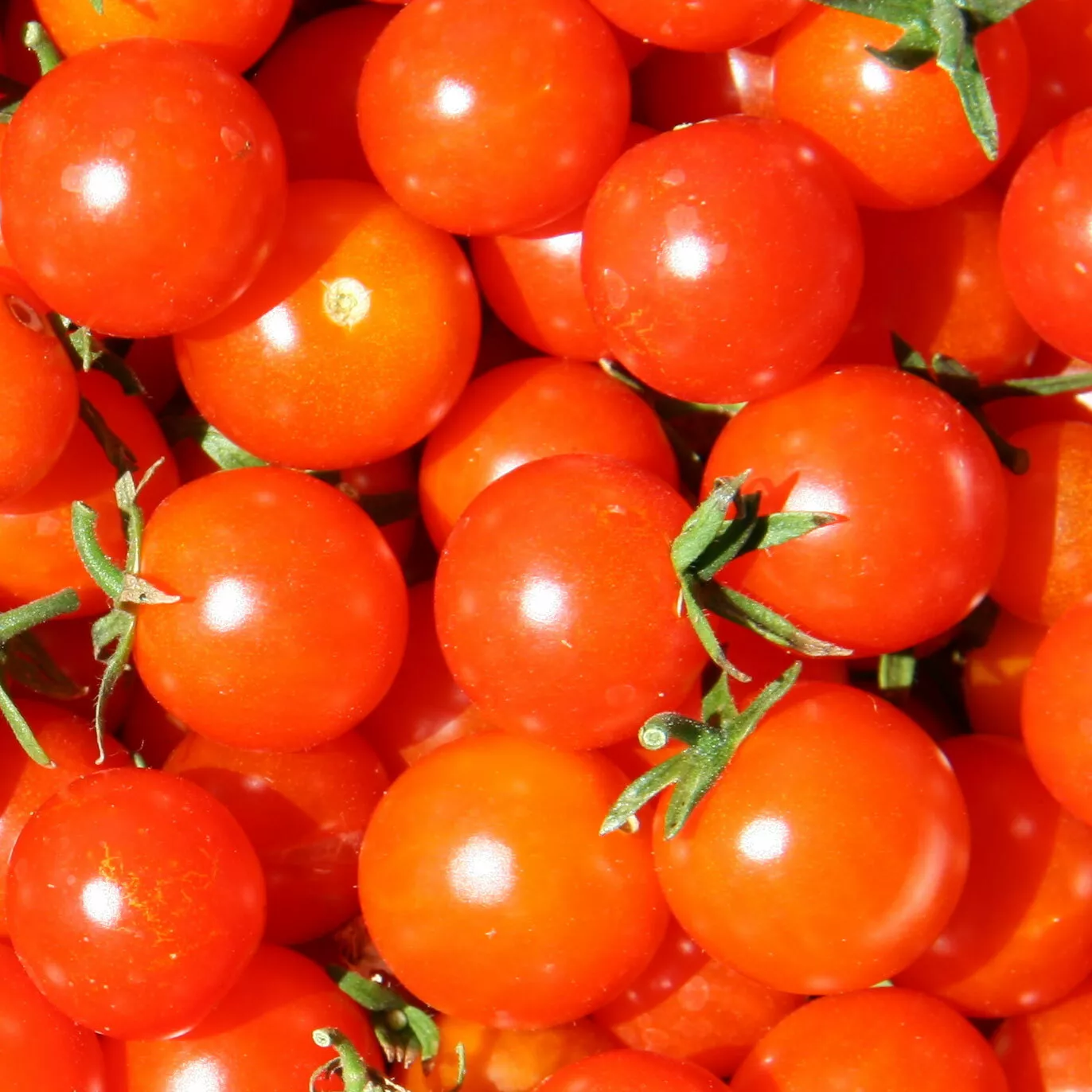 50 Seeds Red Cherry Tomato Juicy Vegetable Fresh Seeds USA Seller - £9.37 GBP