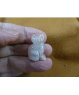 y-cat-si-527-1 orange Agate Sit KITTY CAT gemstone cats STONE figurine k... - $11.77 CAD