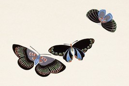 11903.Poster decor.Home Wall.Room Japan art.Kamisaka Sekka painting.Butterflies - £12.94 GBP+