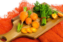 VP 800 Parisian Carrot Parisienne Daucas Carota Sativus Orange Vegetable Seeds - £3.51 GBP