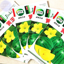 NEW BELLFARM Yellow Gift Watermelom Seeds, 5 packs, 40 seeds/pack, small-sized w - £14.17 GBP