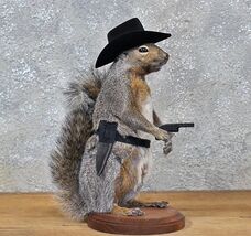 Cowboy Squirrel Taxidermy Animal Statue on Base Home or Office Gift - $445.49