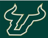 South Florida Bulls USA Flag 3X5ft Banner USA Polyester with 2 Brass Gro... - $20.00