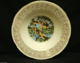 Homer Laughlin HLC Bowl Oriole Bird Pattern w Gold Filigree Rim Floral ~ USA - £10.08 GBP