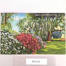 Vintage Florida Linen Postcard Azaleas &amp; Live Oak Trees 1950 Flowers Floral - $187.41 MXN