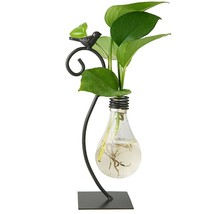 Desktop Glass Planter Hydroponics Vase,Planter Bulb Vase With Holder For Home De - £20.44 GBP