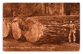 Giant Fir Logs Ready For Mill Lumber Camp Oregon State UNP Sepia DB Postcard Q6 - £8.60 GBP