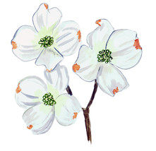 Dogwood Flower Vinyl Sticker Decal for Window Home Refrigerator or Wall - £5.55 GBP+