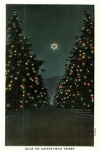 Miles of Christmas Trees &amp; Star of David Santa Rosa Ave Pasadena CA Kiwanis Club - £5.41 GBP