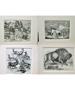 Antique Prints Rein Deer - 19th Century - Inuit - Alaska - Lot of 4 - Bu... - £47.17 GBP