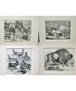 Antique Prints Rein Deer - 19th Century - Inuit - Alaska - Lot of 4 - Bu... - $60.12