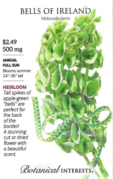 Bells Of Ireland Flower Seeds Botanical Interests 12/24 Fresh New - £7.49 GBP