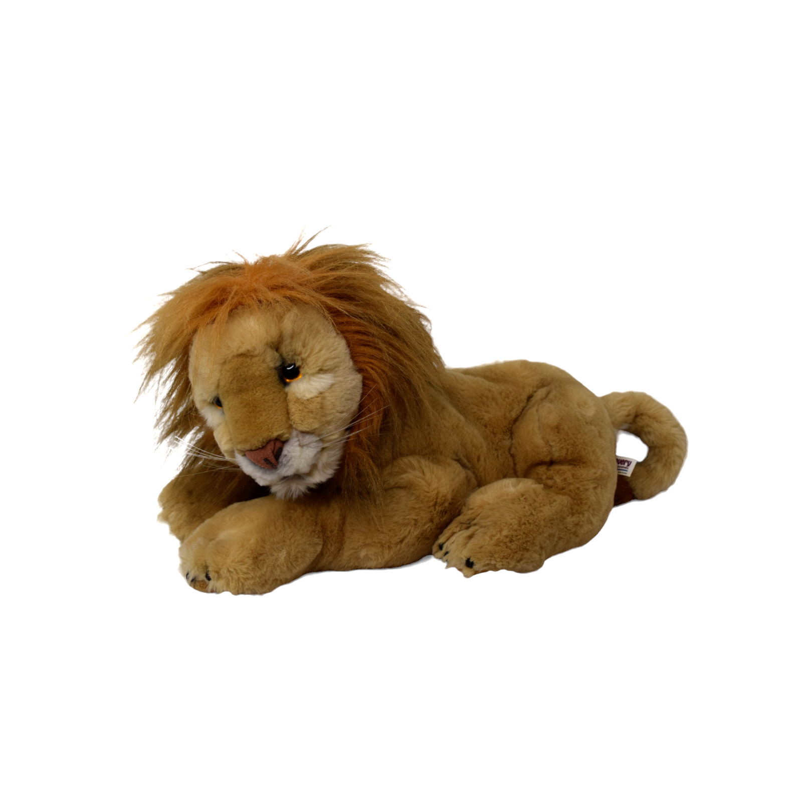 Full-size item image