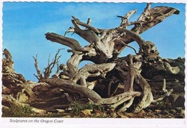 Postcard Sculptures On The Oregon Coast Driftwood - $3.95