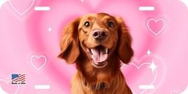IRISH SETTER FACE CAN PERSONALIZE NOVELTY METAL LICENSE PLATE F - $6.00