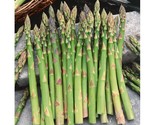 Mary Washington Asparagus 100 Seeds Non-Gmo Heirloom Fresh Garden Seeds - $8.99