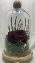 Skeletal Hand and Rose in Clear Dome Creepy Halloween Decor - £11.98 GBP