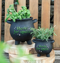 2-Pack Green Thumb Witch Gardening Black Herbs For Spells Cauldron Plant... - £32.76 GBP