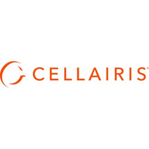 Cellairis 11-0079064 CELLAIRIS-SS-APPLE IPAD P 11IN GEN7 PRIV. - $34.78