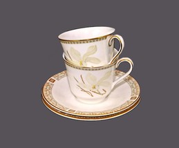 Pair of Royal Doulton White Nile TC1122 cup and saucer sets made in England. - $56.51