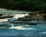 Bears Playing on Kenai Peninsula Alaska AK 1968 Chrome Postcard B1 - £2.10 GBP