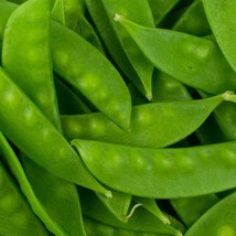 50+ Oregon Sugar Pod Ii Snow Pea Seeds   Us - $5.99