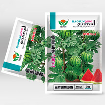 5 Bags (50 Seeds / Pack) of &#39;Apis Forea&#39; Series Bonsai Watermelon Seeds - £12,893.83 GBP