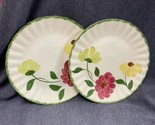 2 - Blue Ridge Southern Pottery 9.25” Plate Red Yellow Flowers Green Spo... - $12.87