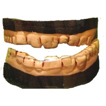 Scary Rotting Cosplay Zombie Monster Denture Costume Prop Accessory Horror Teeth - £3.00 GBP