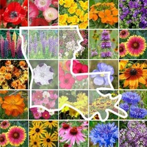 FA Store 1000 Seeds Wildflower Louisiana State Mix Perennial &amp;Annual 25 ... - £7.92 GBP