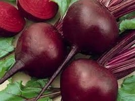 HS Beets Detroit Red 100 seeds  - £4.76 GBP