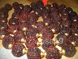 7 mukhi rudraksha Seven Faced rudraksh rosary Original 100% Authentic mala - £221.65 GBP