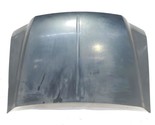 Hood Green OEM 1999 00 01 02 03 04 05 06 2007 Ford F250 FX4 Crew CabMUST... - $473.99
