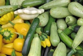 Summer Squash Mix | Organic | Seeds FRESH - £14.73 GBP