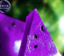  New Purple Watermelon 20+ Seeds - £5.50 GBP